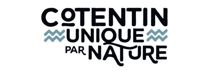 Untitled design (20)